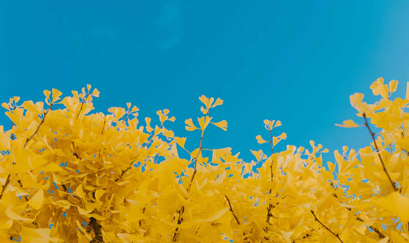 Featured image for “On Ukraine: Acknowledging and Leveraging Our Collective Privilege”