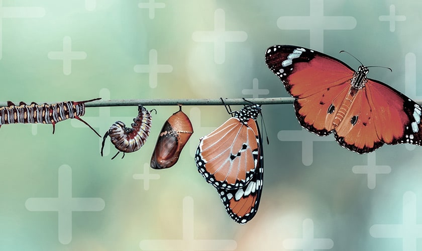Featured image for “How to Manage Transformational Change in Your Organization”
