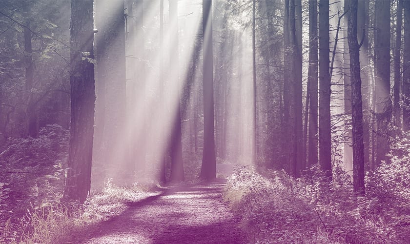Featured image for “Walking the path together: Talking reconciliation with Ted Cadwallader”